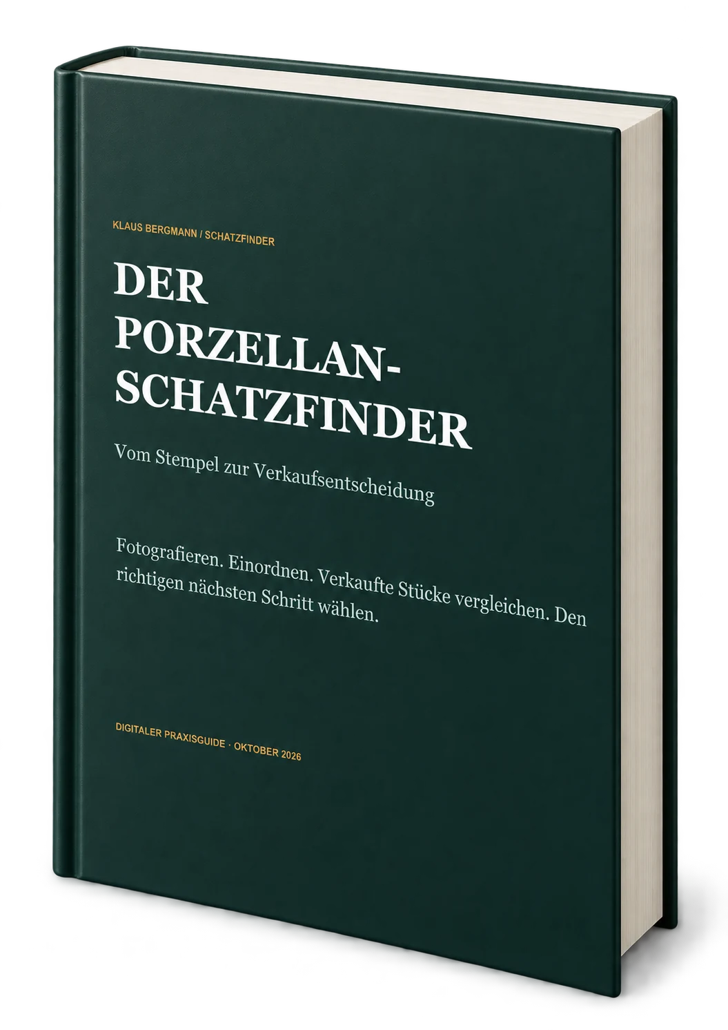 3D-Visualisierung des PDF-Covers Der Porzellan-Schatzfinder
